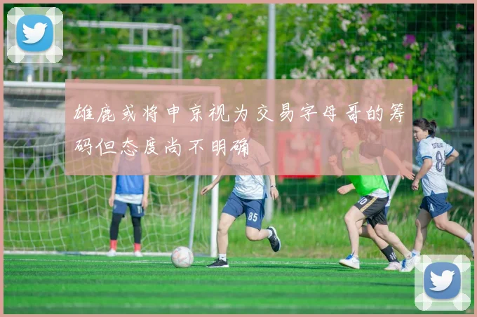 雄鹿或将申京视为交易字母哥的筹码但态度尚不明确